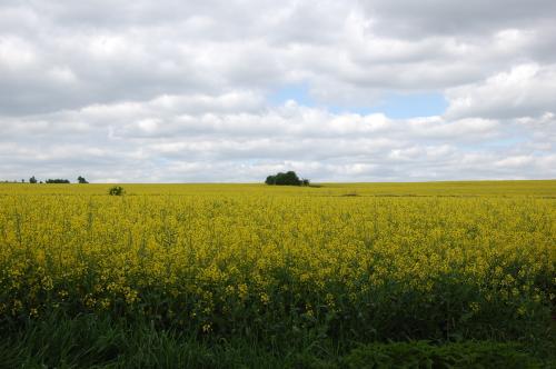 Prácheňsko všemi smysly